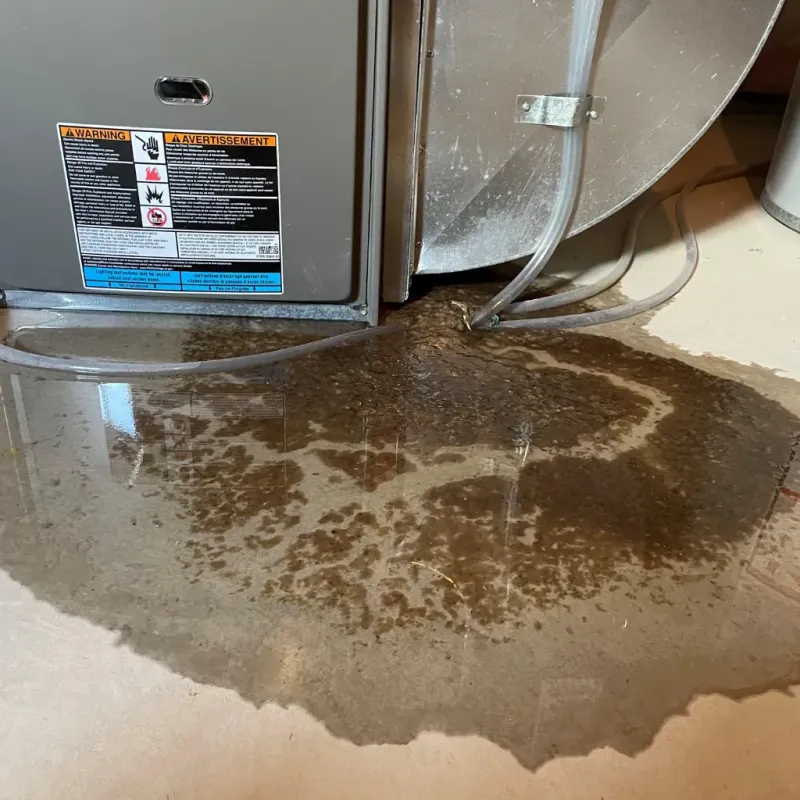 Appliance Leak Cleanup in Lindsborg, KS