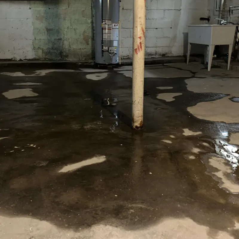 Emergency Water Extraction And Removal in Lindsborg, KS